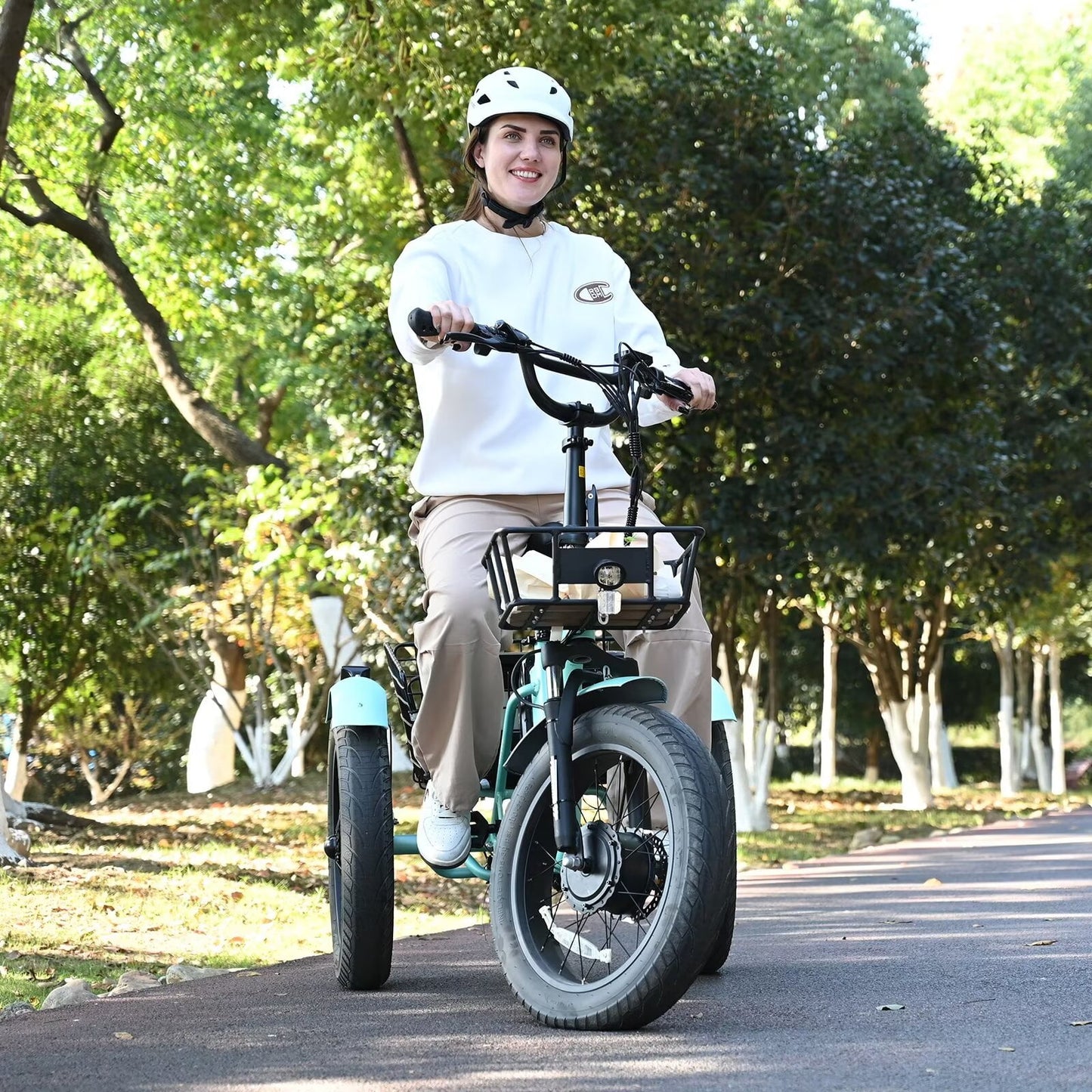 Lilypelle 7-Speed Electric Tricycle with 20" x 4" Fat Tires for Adults,500W 48V 14.5Ah Lithium Battery ,3 Wheels Electric bike with Front & Rear Basket for Men, Women,Senior