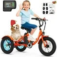 Lilypelle Electric tricycle for Kids , 6/9/12Mph three wheel electric bike w/ 250W motor,24V 10.4Ah Battery, Headlights & Horn, Large Rear Basket ,2 sets of DIY stickers,16"x3" Wheel,30Miles
