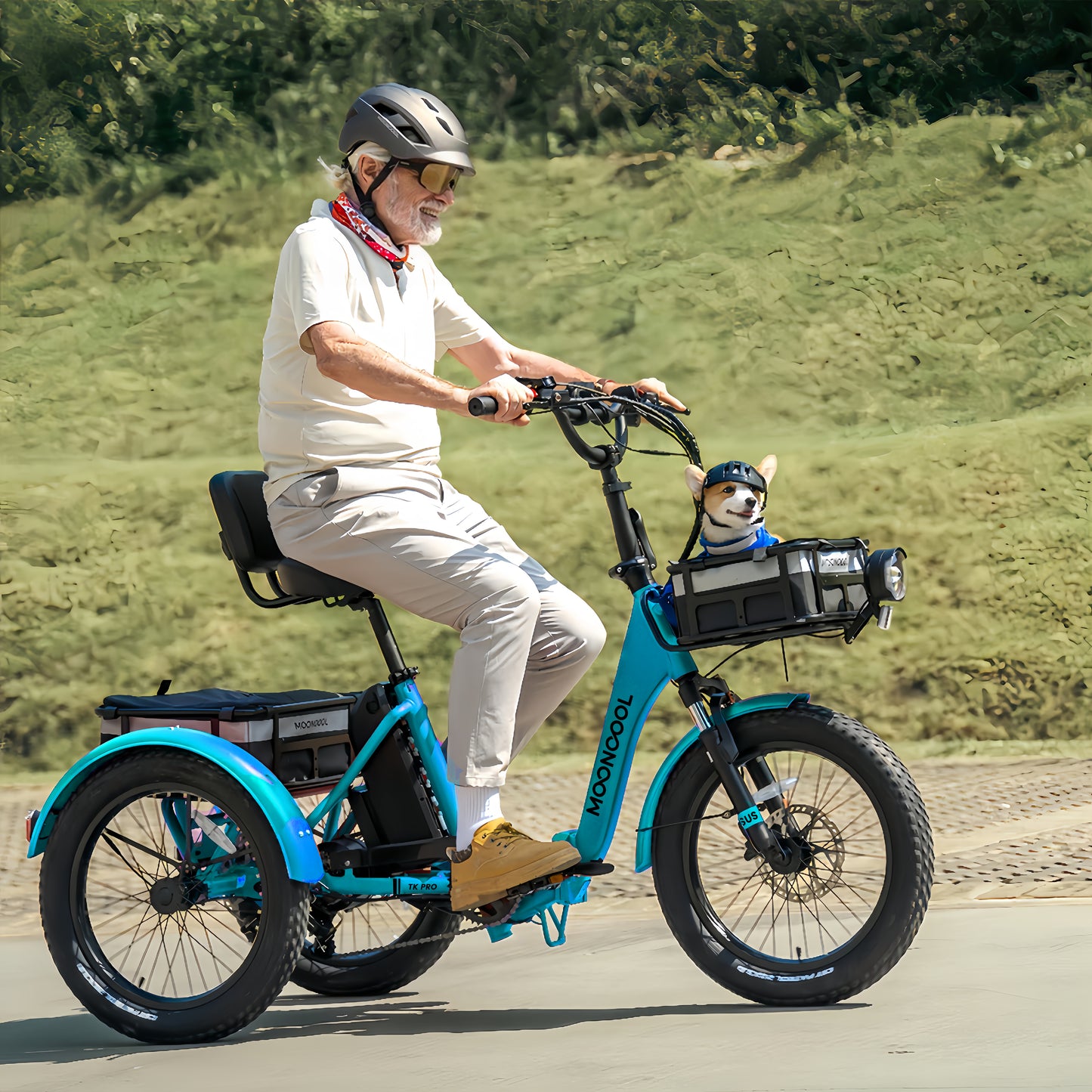 Lilypelle TK-Pro Electric Tricycle for Adults,750W 48V Folding E-Mountain bike UL2849 , 20" 6 Speed 3 Wheels Electric Bicycle with Front & Rear Basket and Removable 20AH Battery