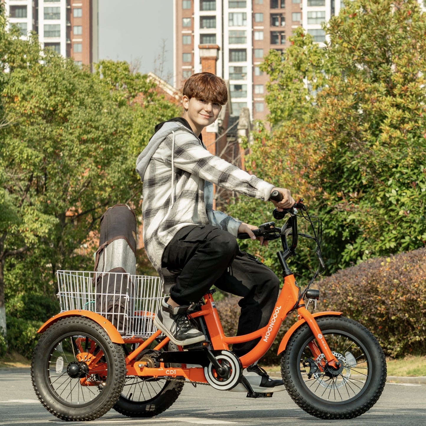 Lilypelle Electric tricycle for Kids , 6/9/12Mph three wheel electric bike w/ 250W motor， 24V 10.4Ah Battery, Headlights & Horn, Large Rear Basket ,2 sets of DIY stickers,16"x3" Wheel,30Miles