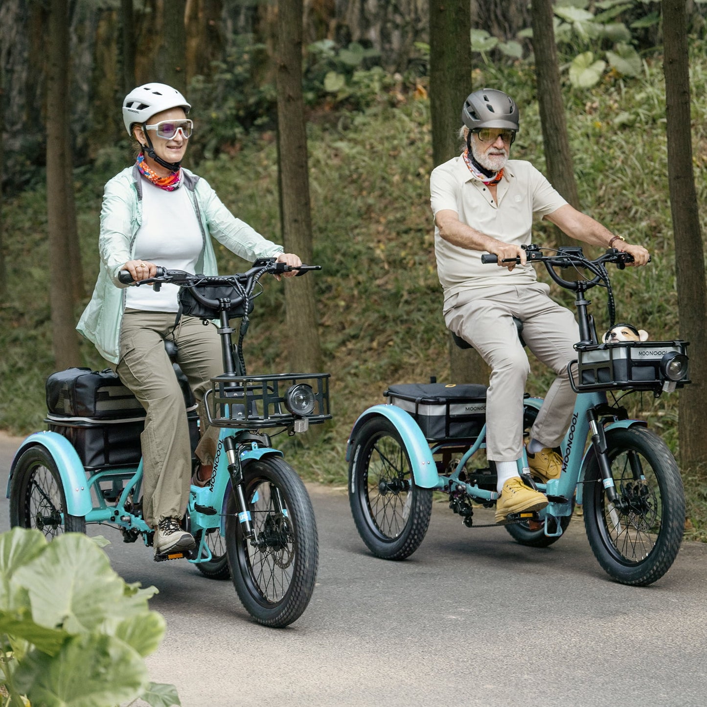 LILYPELLE Electric Trike for Adults, 750W Folding Electric Tricycle Electric Trike, 3 Wheel Electric Bicycle Motorized Three Wheel Ebike with Large Basket for Women Men