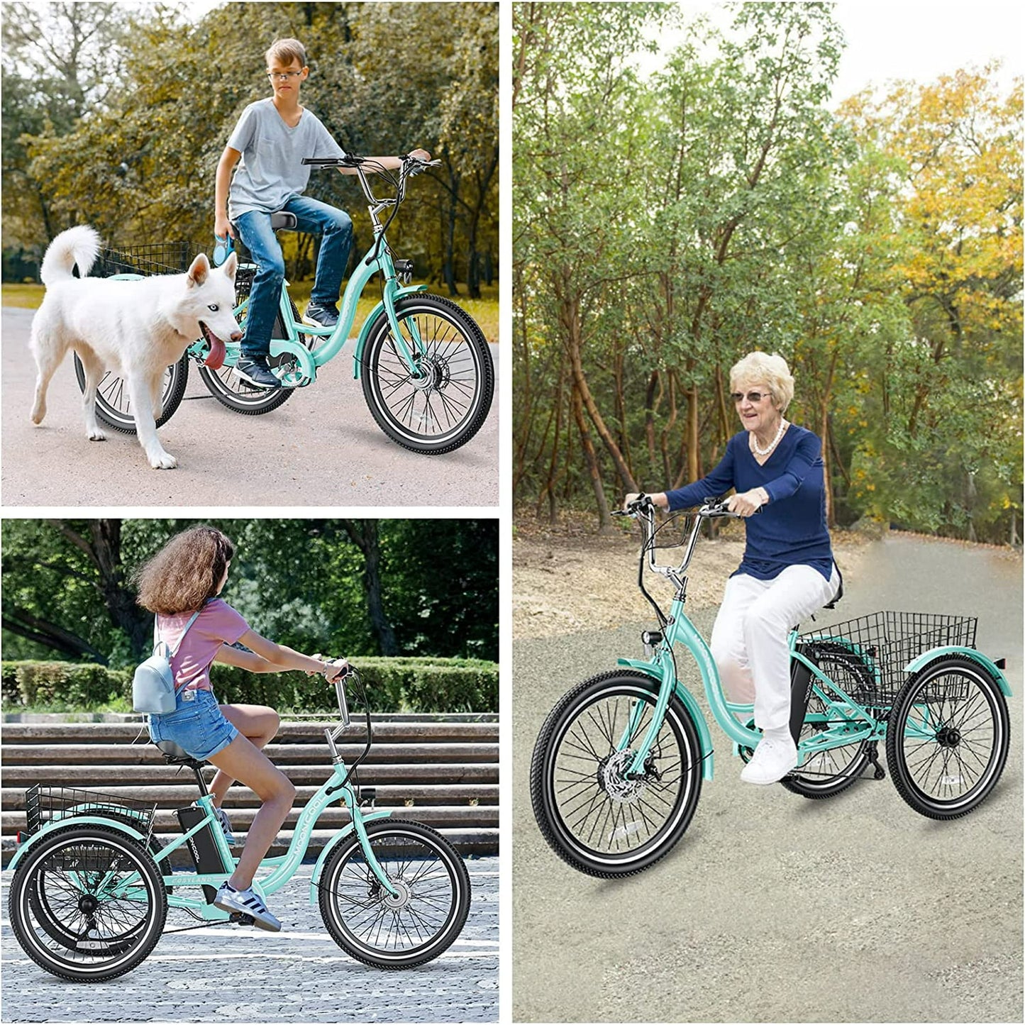 MOONCOOL 24'' Electric Tricycle for Adults, 350W 36V 7 Speeds Electric Trike, 3 Wheels Adult Electric Tricycle Bicycle with Large Basket & Tool Kits,UL2849