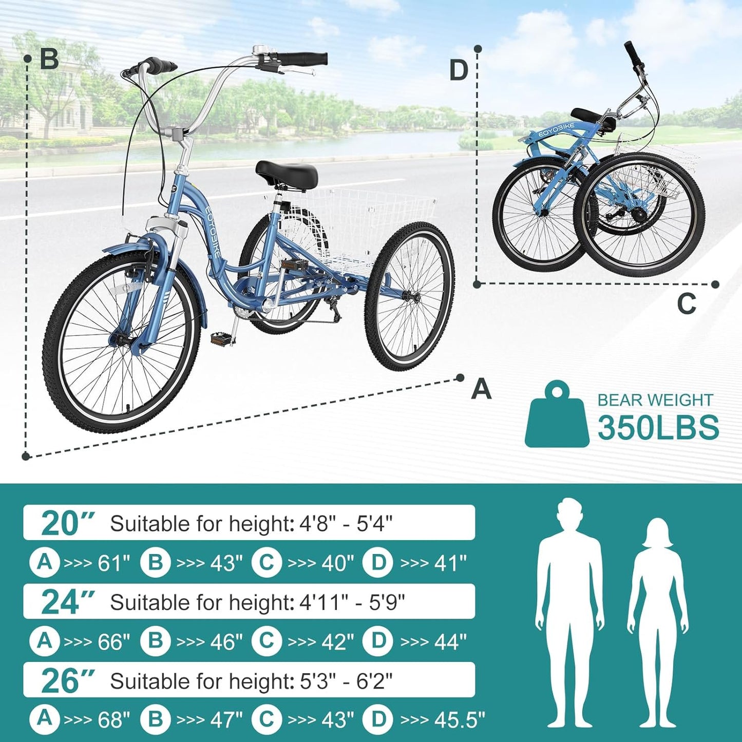 Lilypelle Adult Folding Tricycle with Low Step Through,20/24/26 inch 3 Wheel 7-Speed Foldable Cruiser Bike Trike with Cargo Basket for Women, Men, Seniors